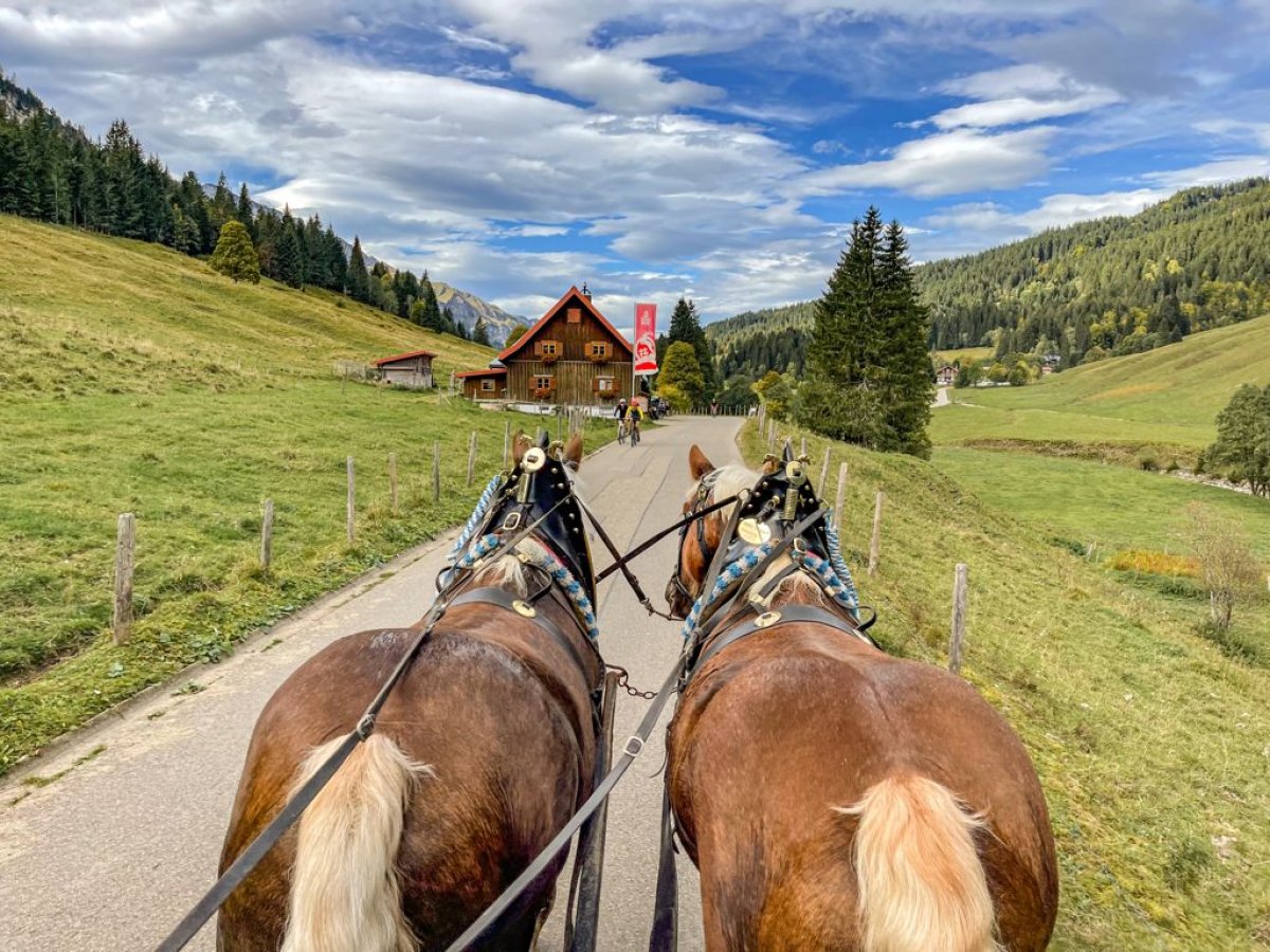 Kutschfahrt ins Rohrmoos