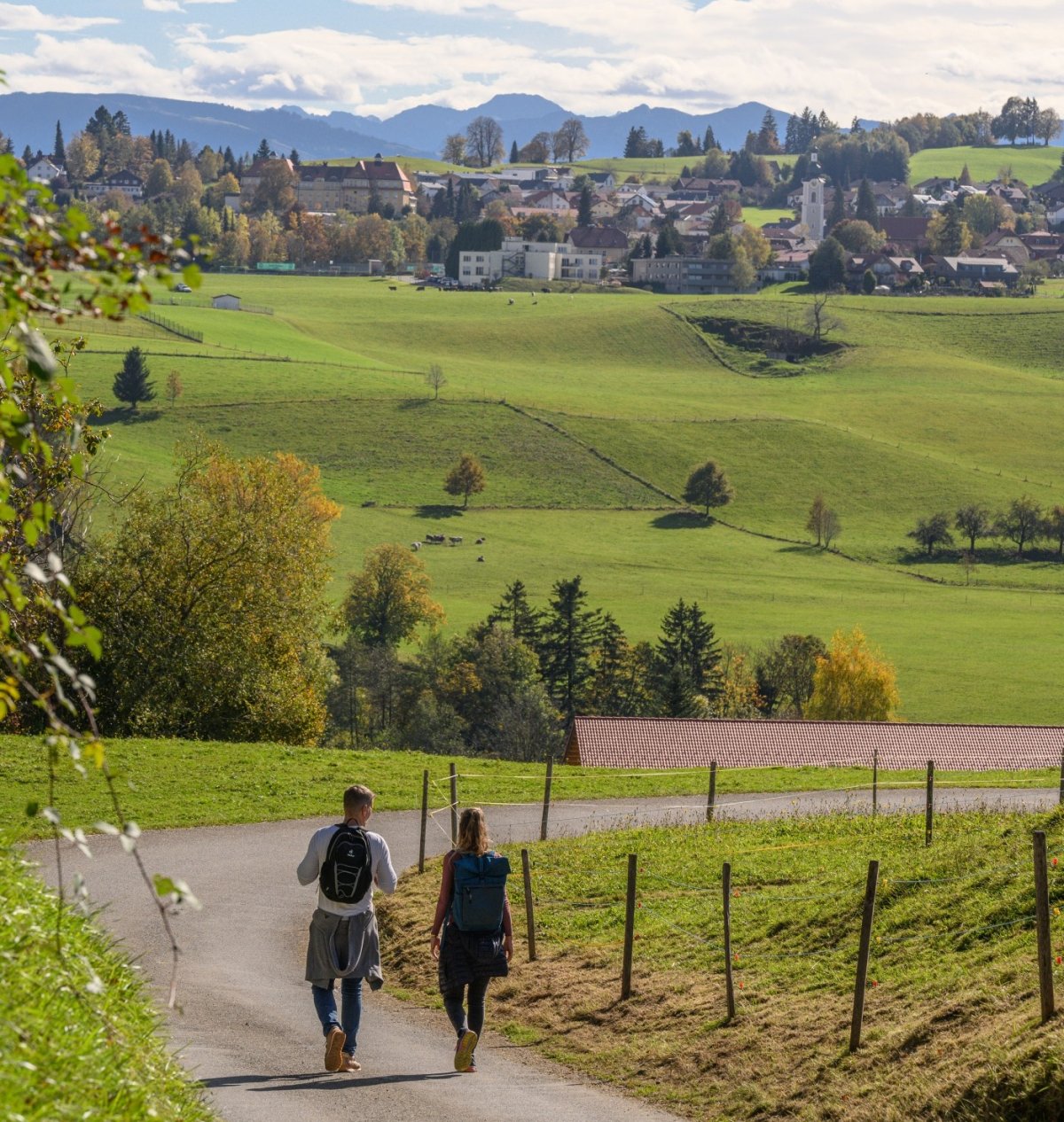 0850 Scheidegg Wandern 10.24 b