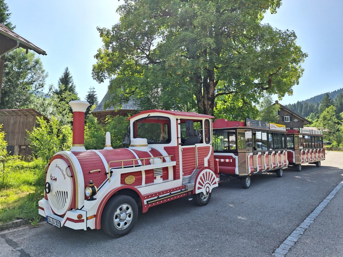 Marktbähnle - Rohrmoos