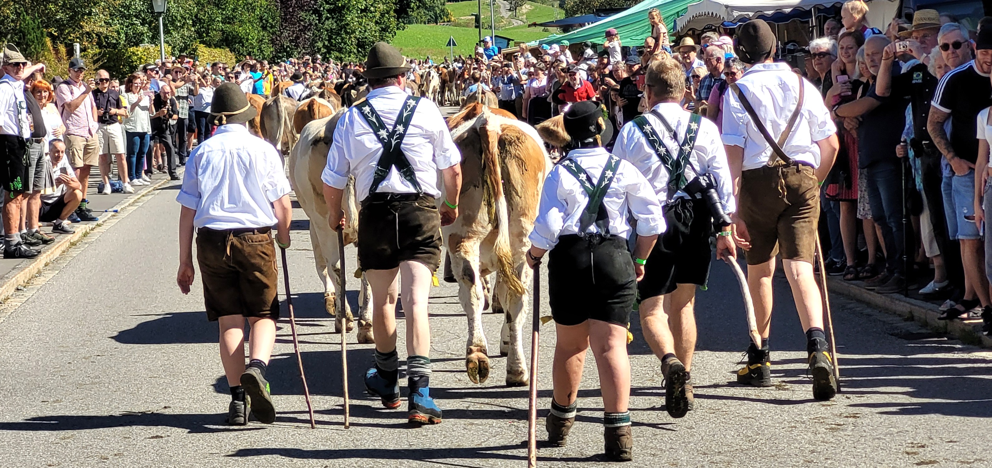 Viehscheid Wengen 2025 Viehscheid Wengen 2025