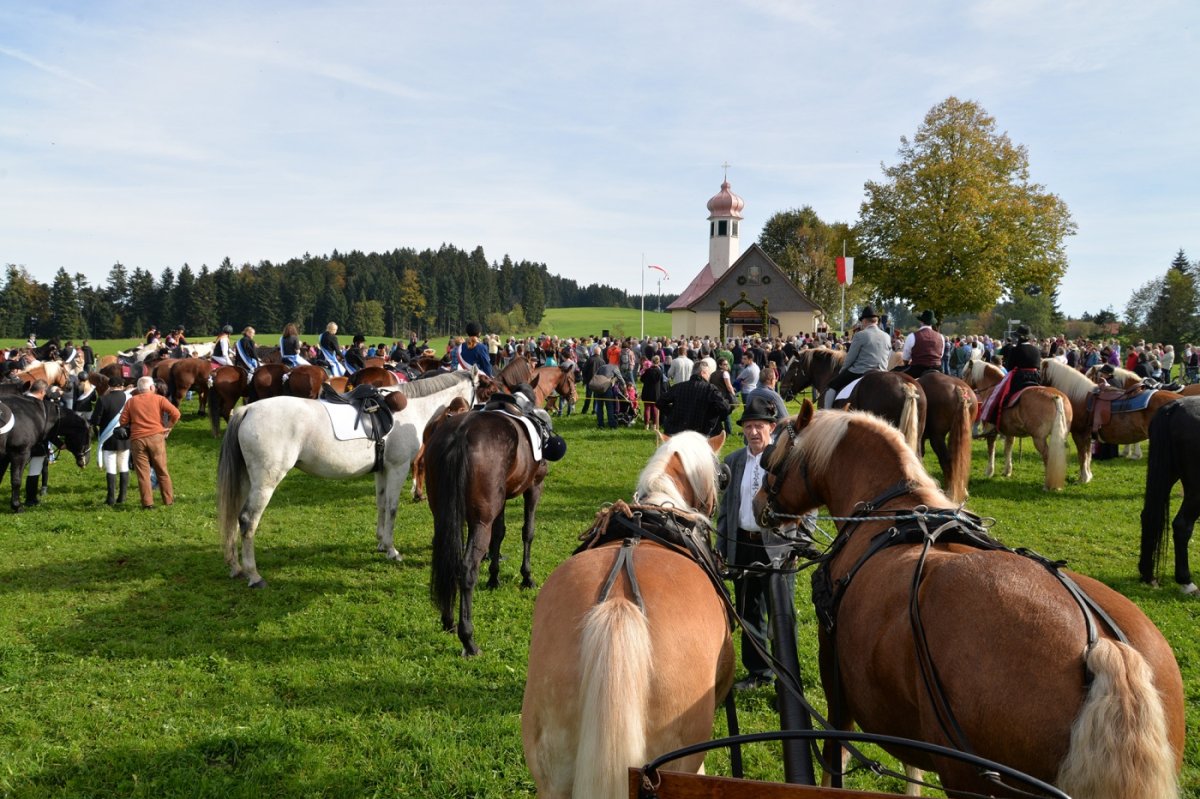 Bild wendelinsritt