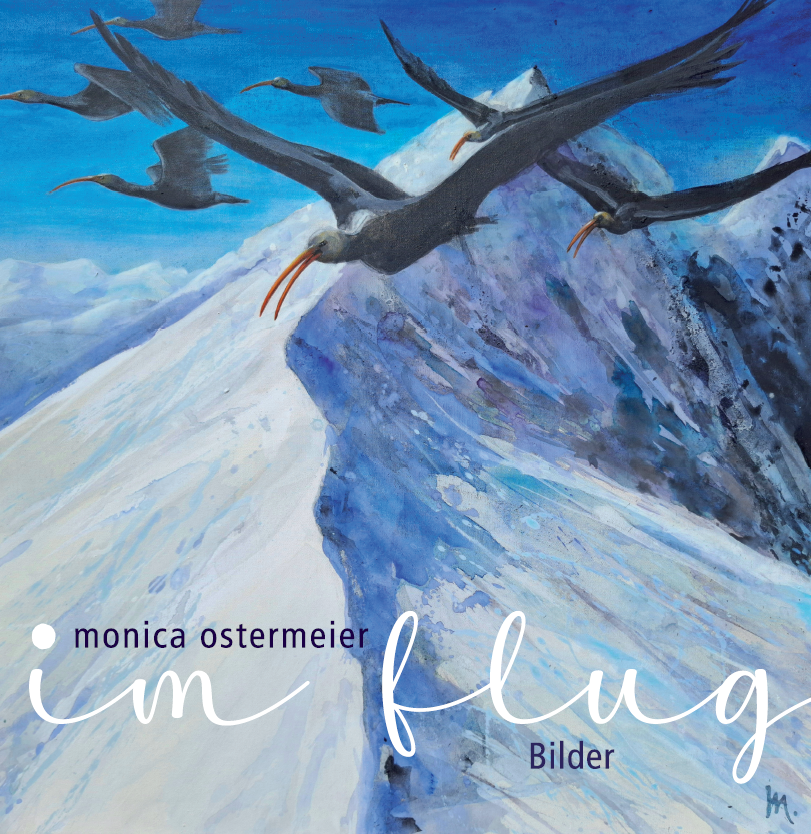 Im Flug