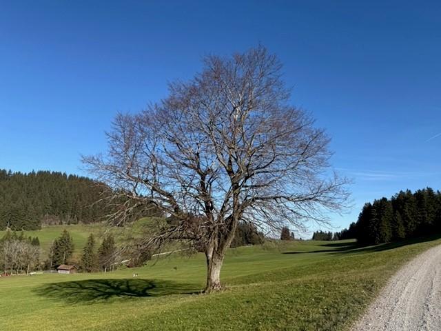 Wanderweg