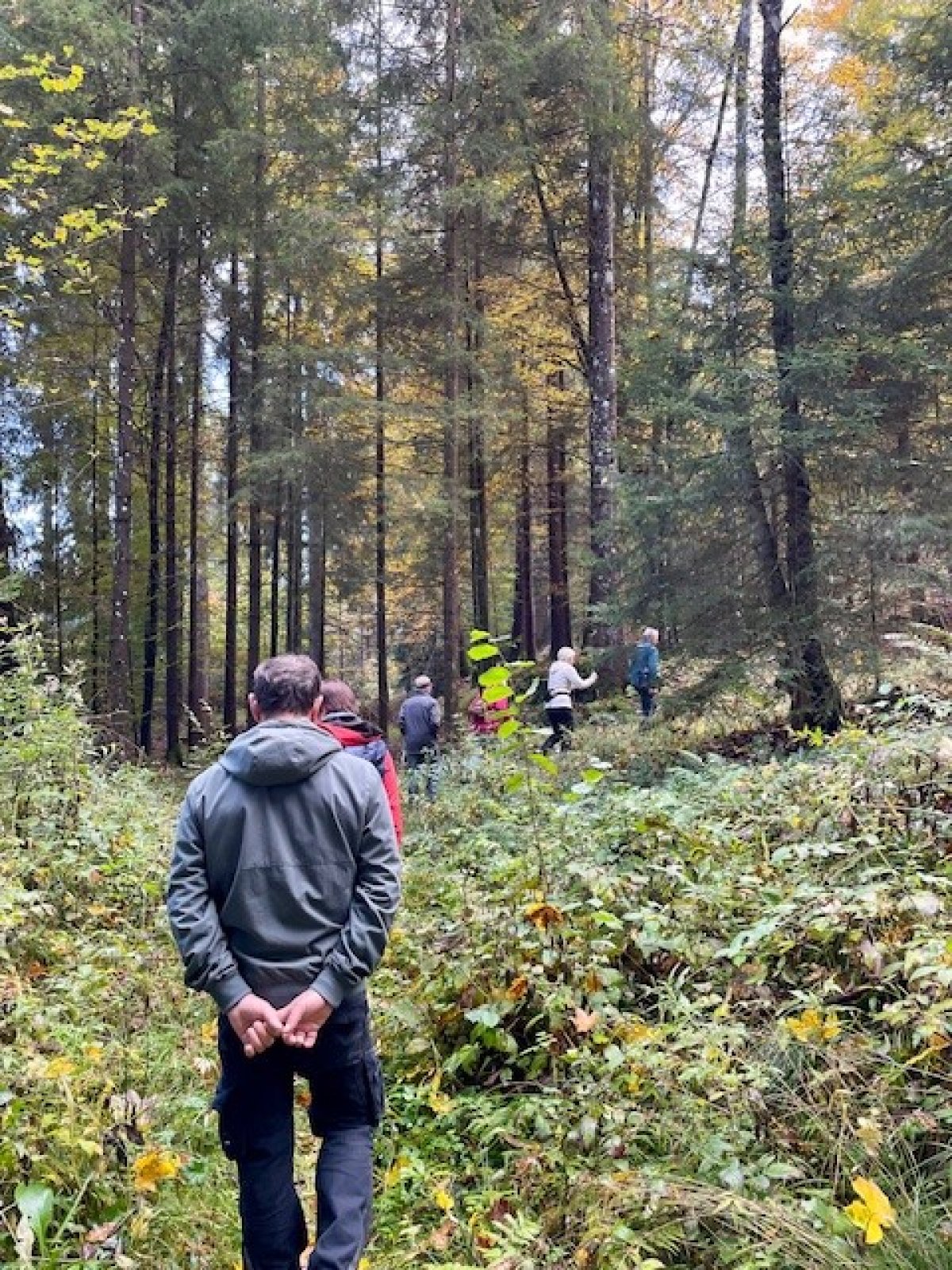 Wanderer im Wald von Eva Schubert