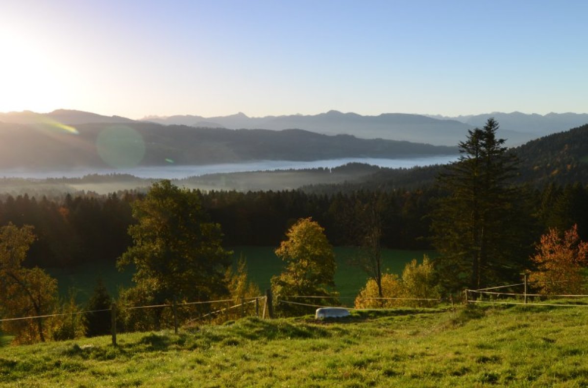 Scheidegg Landschaft