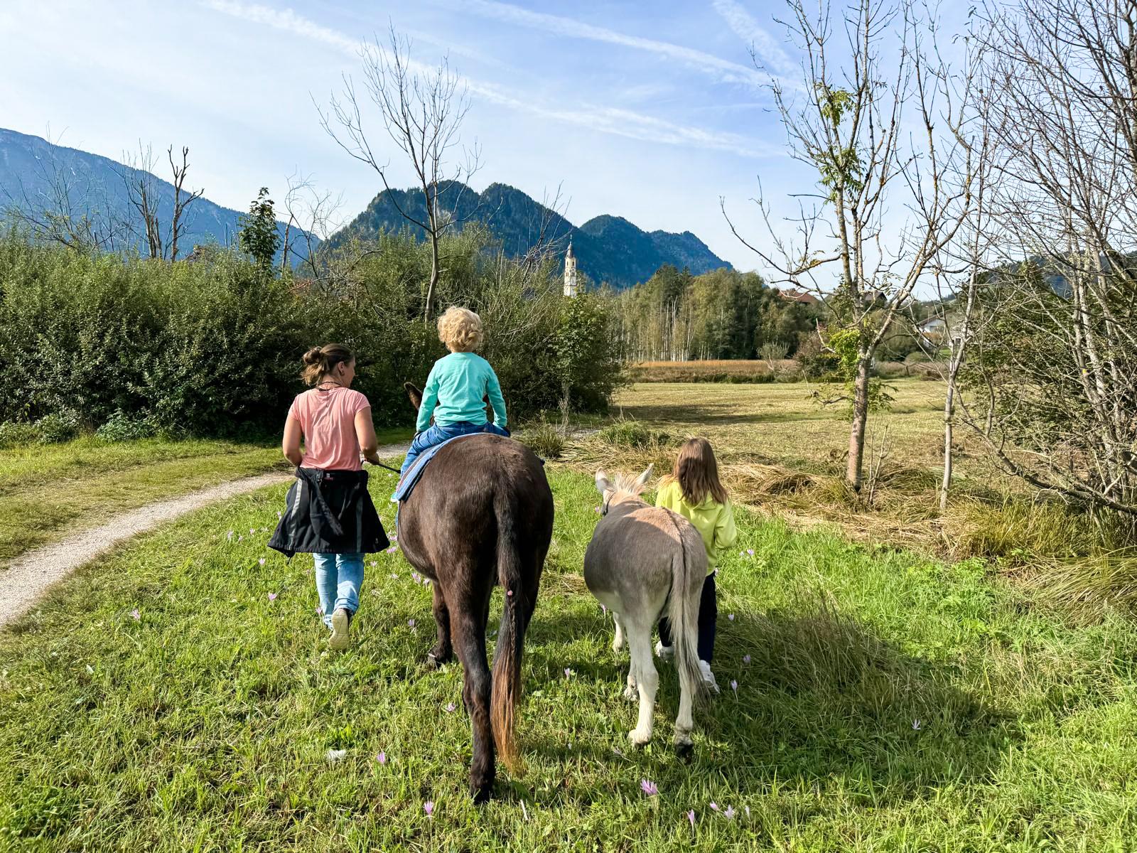 Eselwanderung