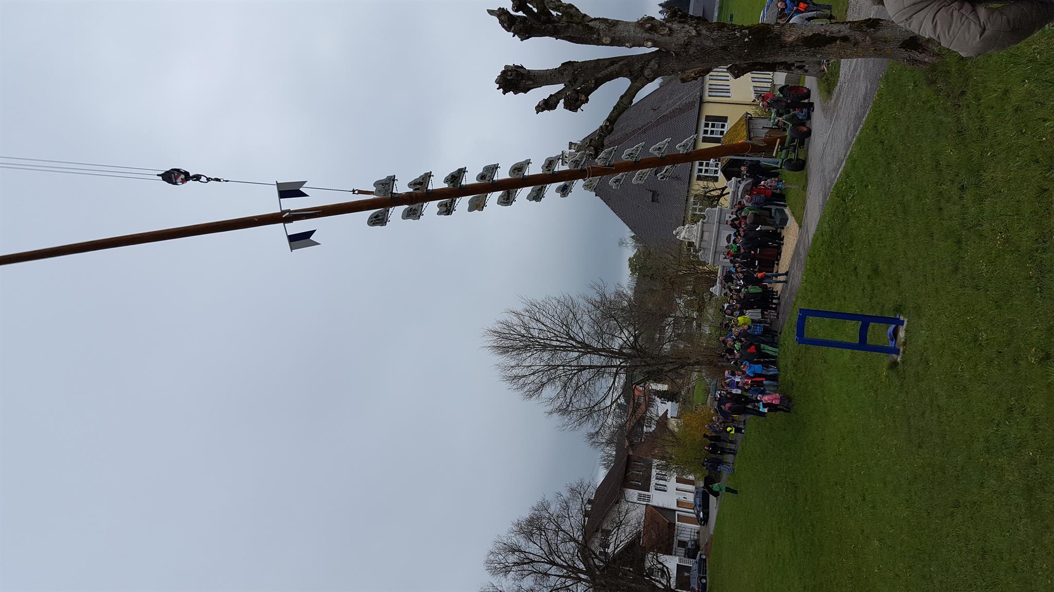 Maibaum Maibaum