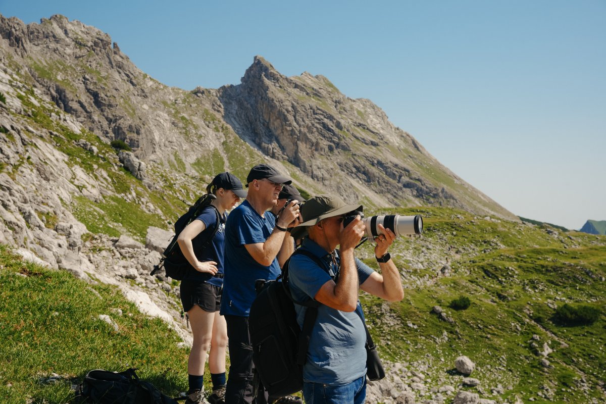 Bergwelt im Fokus