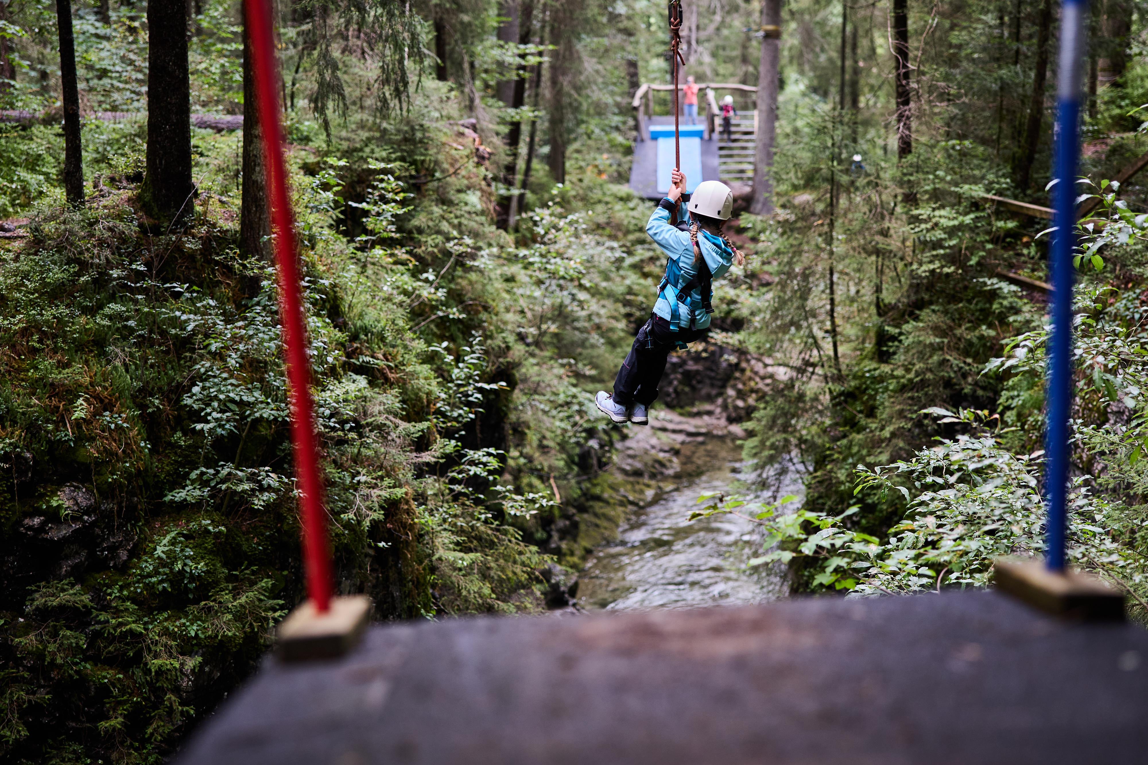 Flying Fox Flying Fox