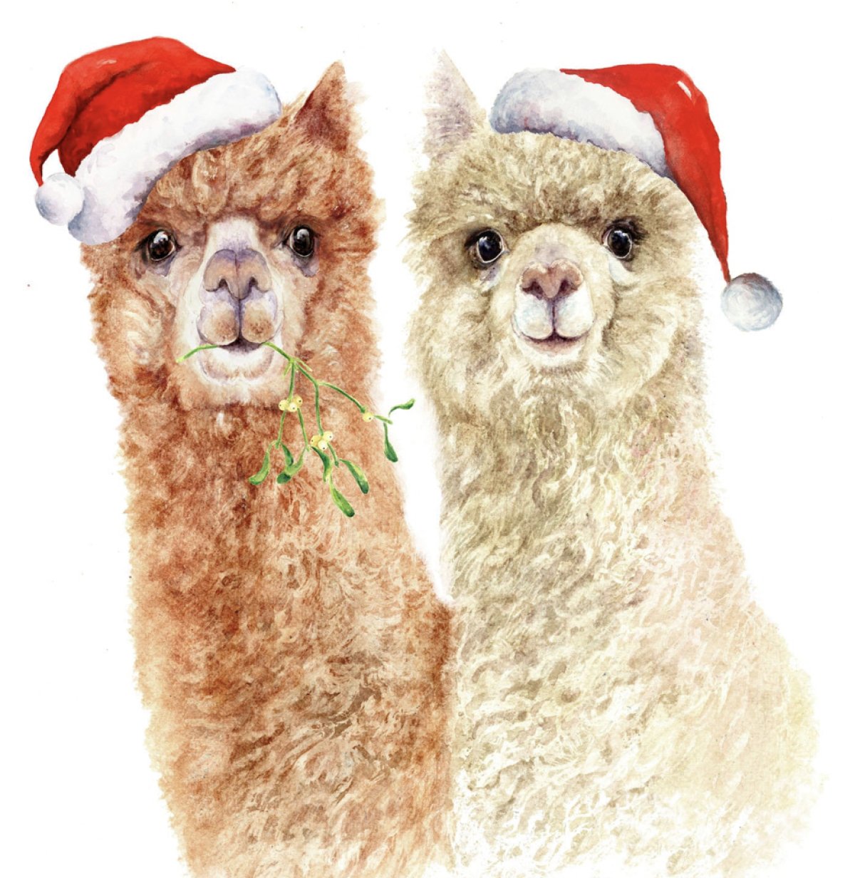 Alpaka Hofweihnacht