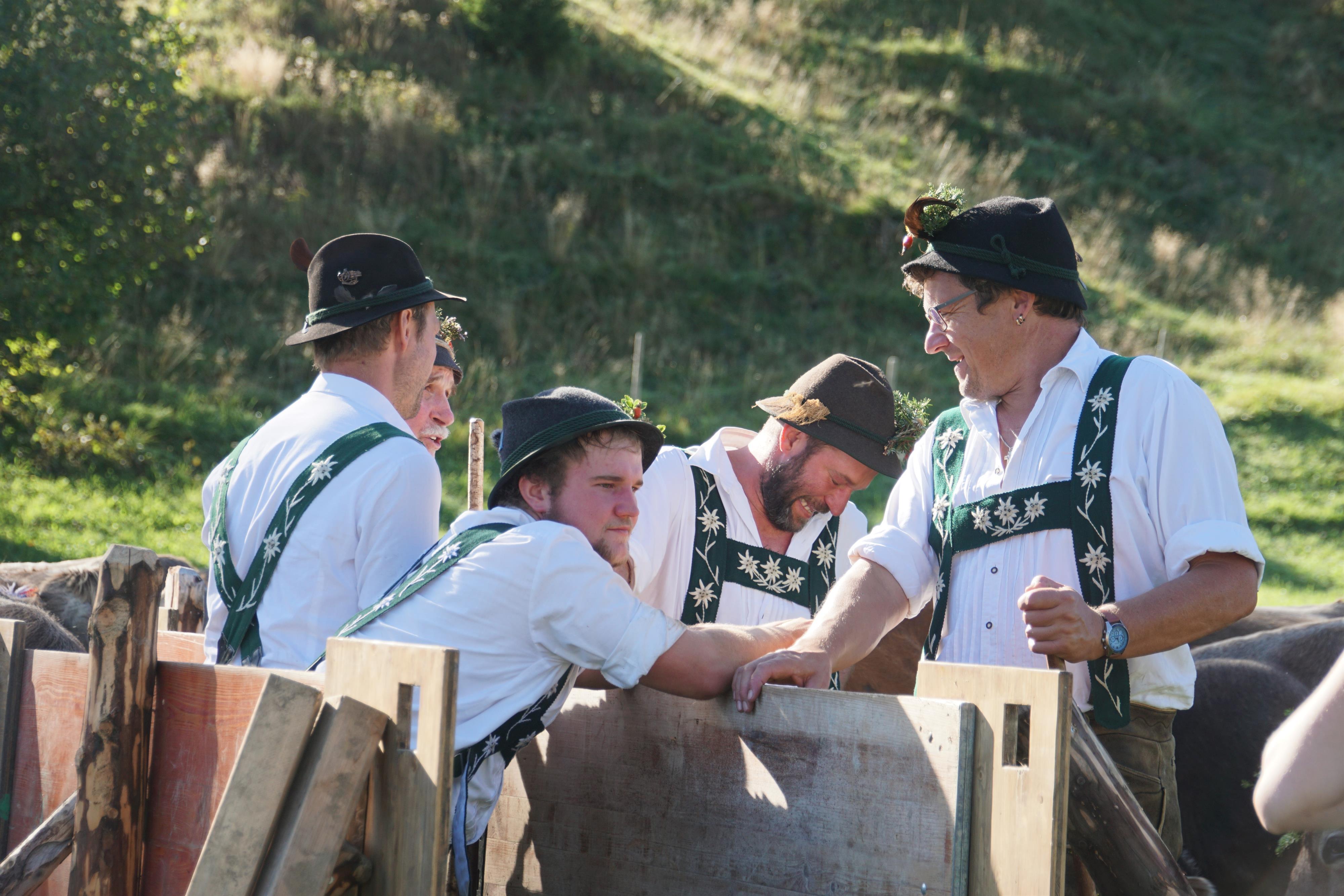Gunzesrieder Viehscheid