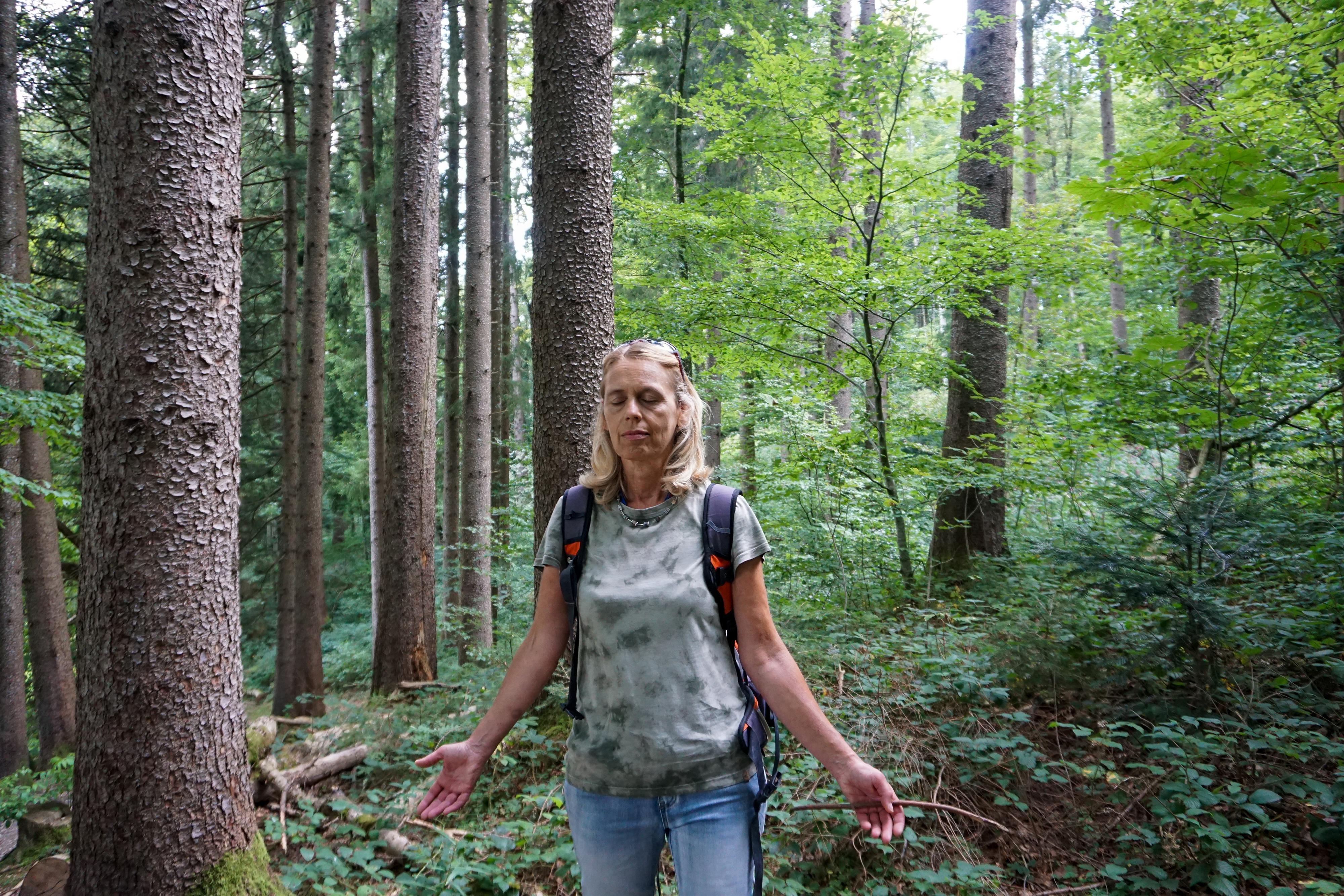 Erlebe den Wald Erlebe den Wald