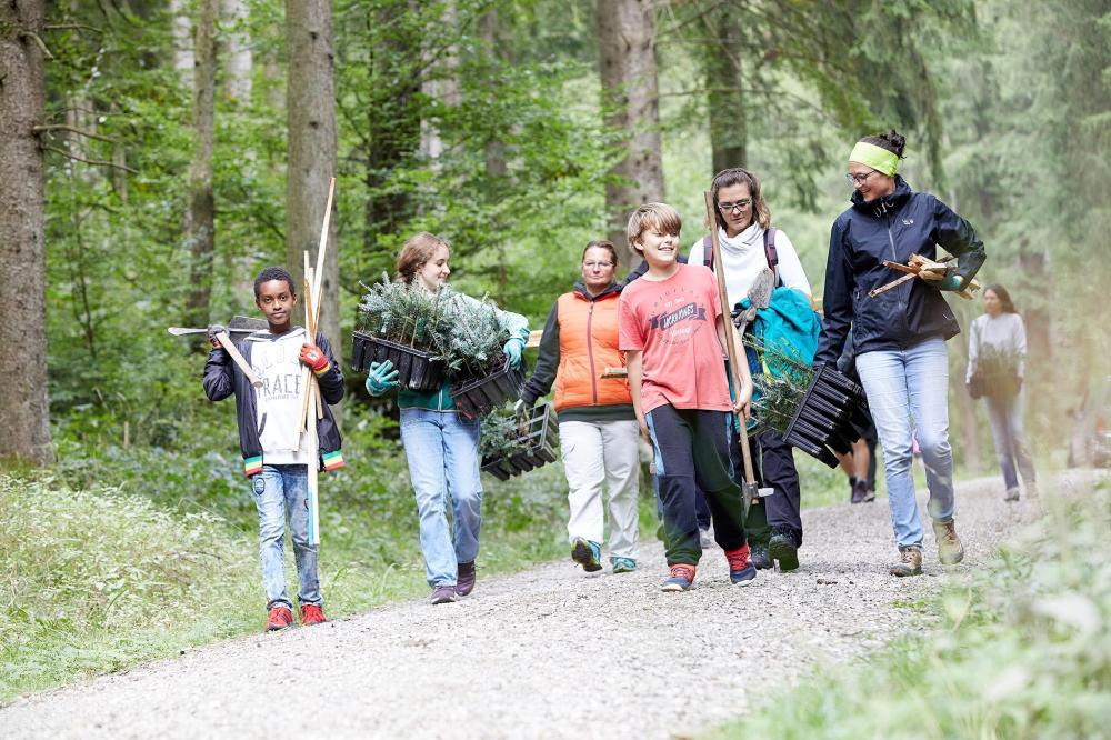 Bild 1