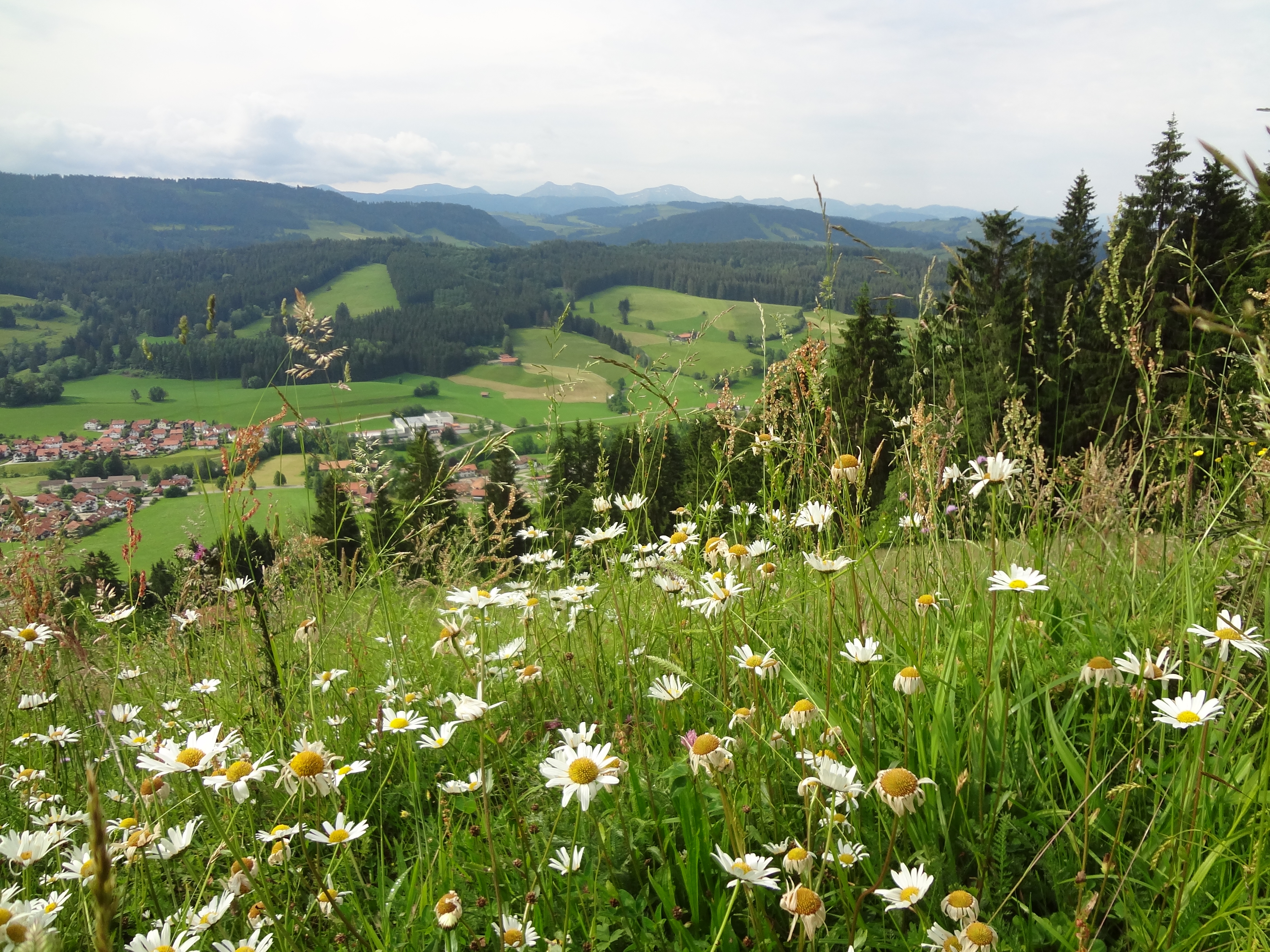 Sonneck_Aussicht