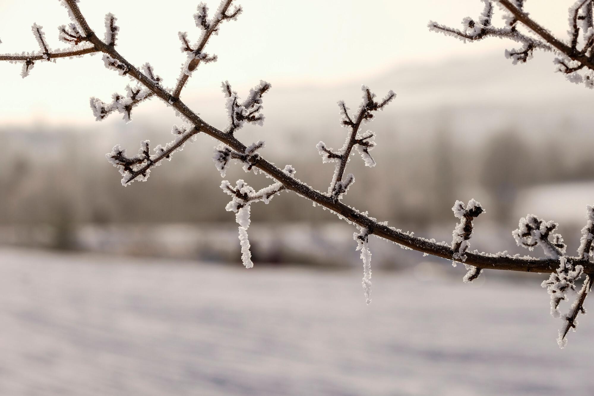 Winterlandschaft Winterlandschaft