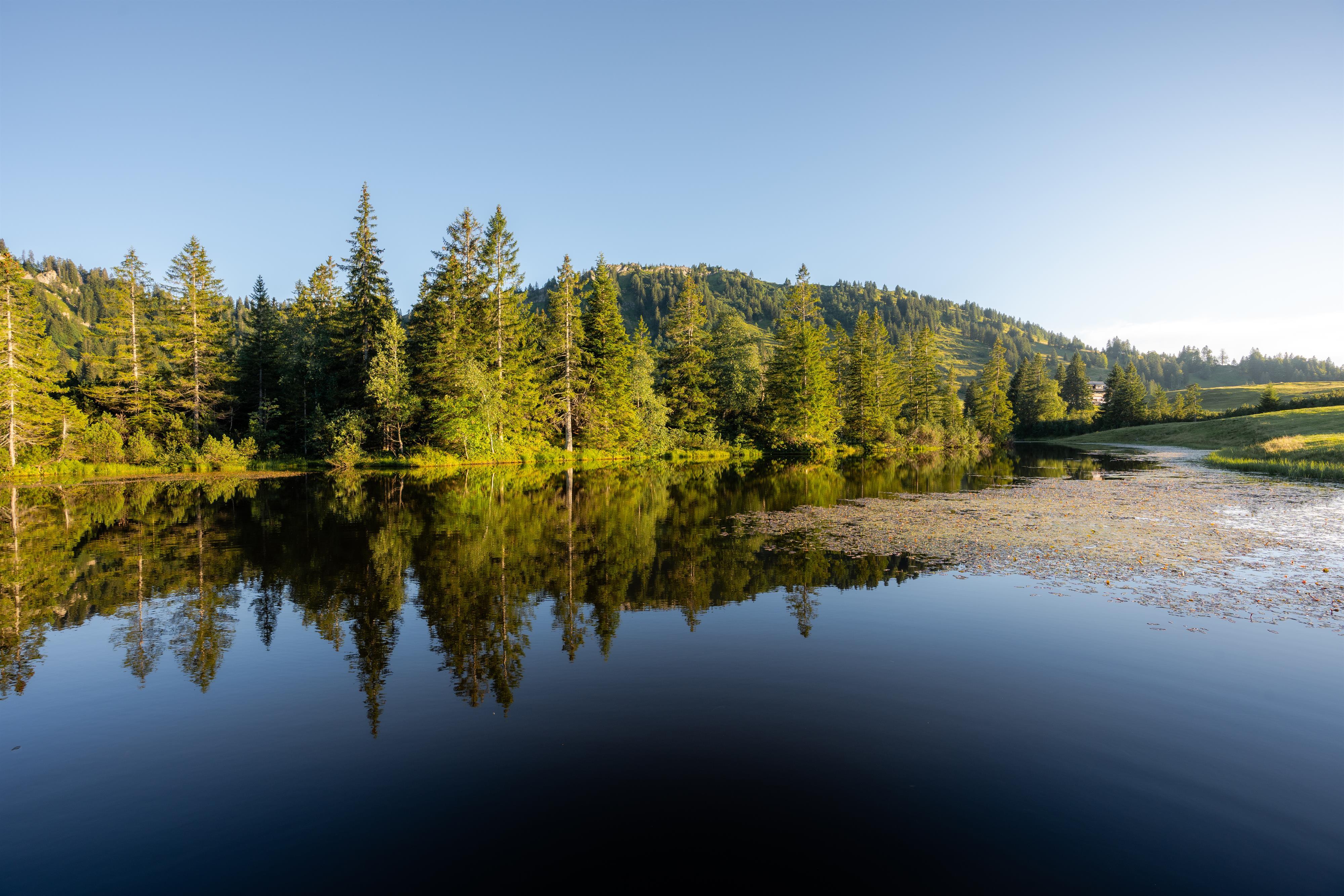 Das Hochmoor entdecken Das Hochmoor entdecken