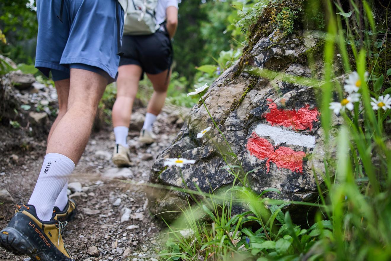 Wanderfestival Rund um den Widderstein Wanderfestival Rund um den Widderstein
