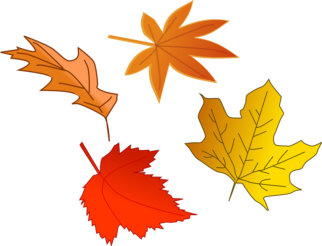 Herbstlaub