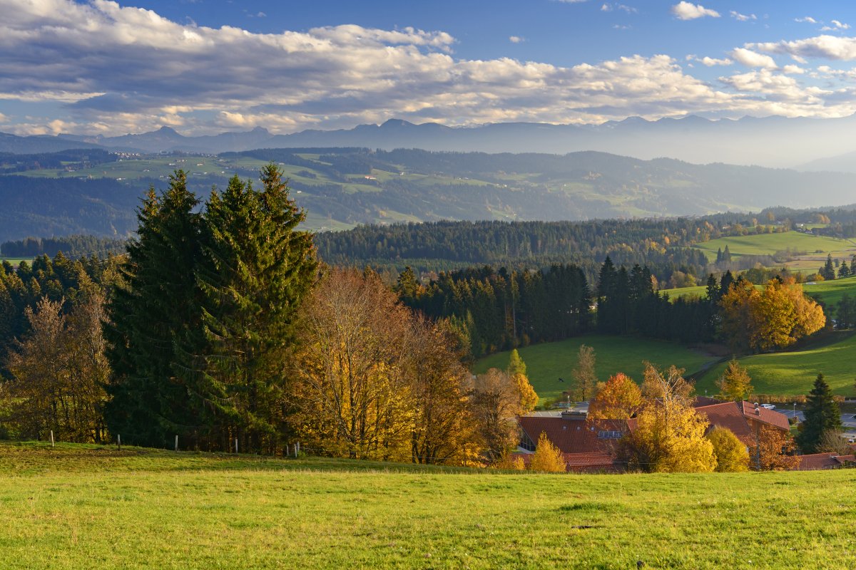 Herbst in Scheidegg