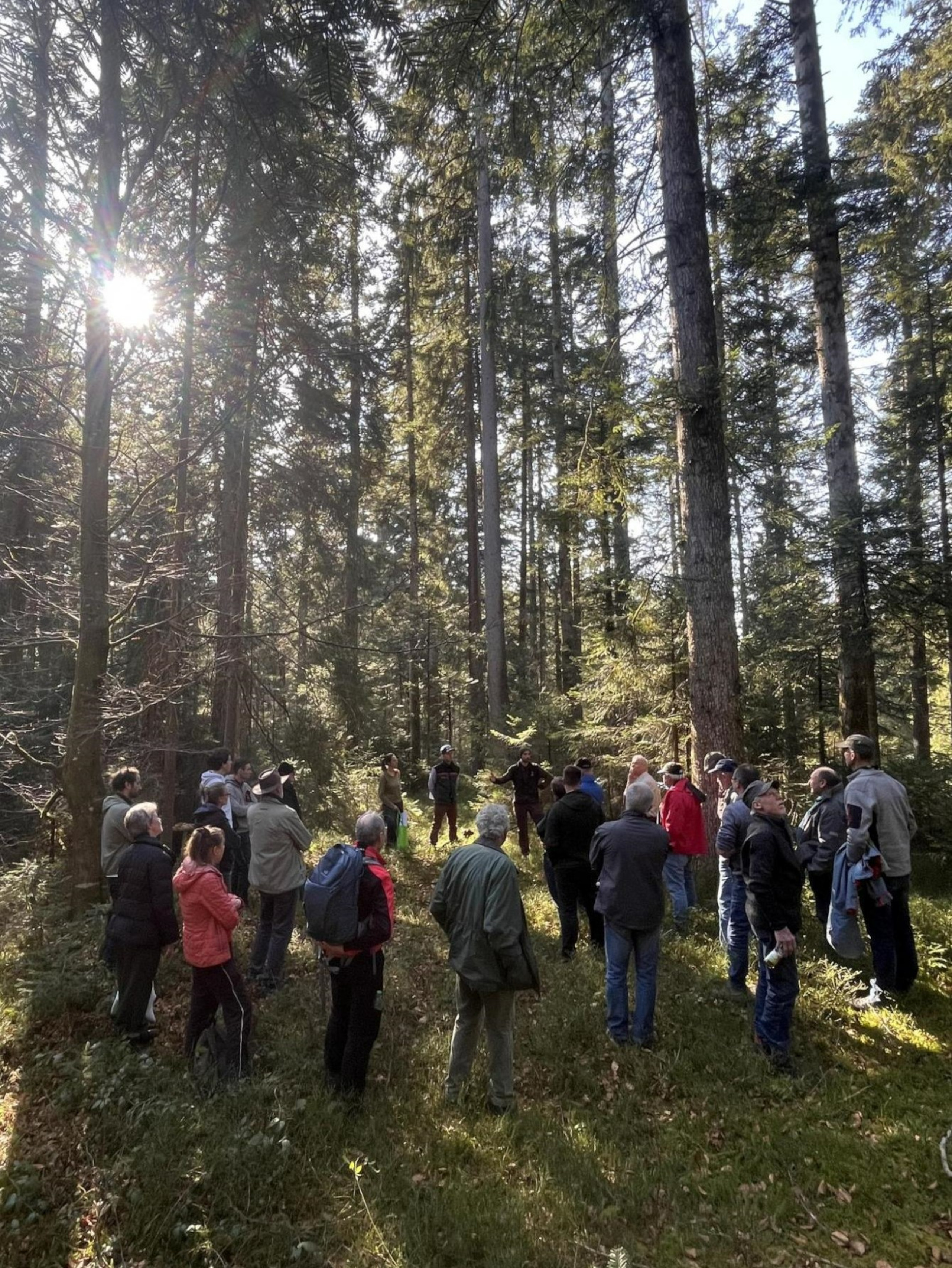 Im Rahmen der Fortbildungsreihe „Wald.Zukunft.Wissen“ bieten AELF und WBV verschiedene Exkursionen in den Wald an. Foto: Anna Notz Im Rahmen der Fortbildungsreihe „Wald.Zukunft.Wissen“ bieten AELF und WBV verschiedene Exkursionen in den Wald an. Foto: Anna Notz