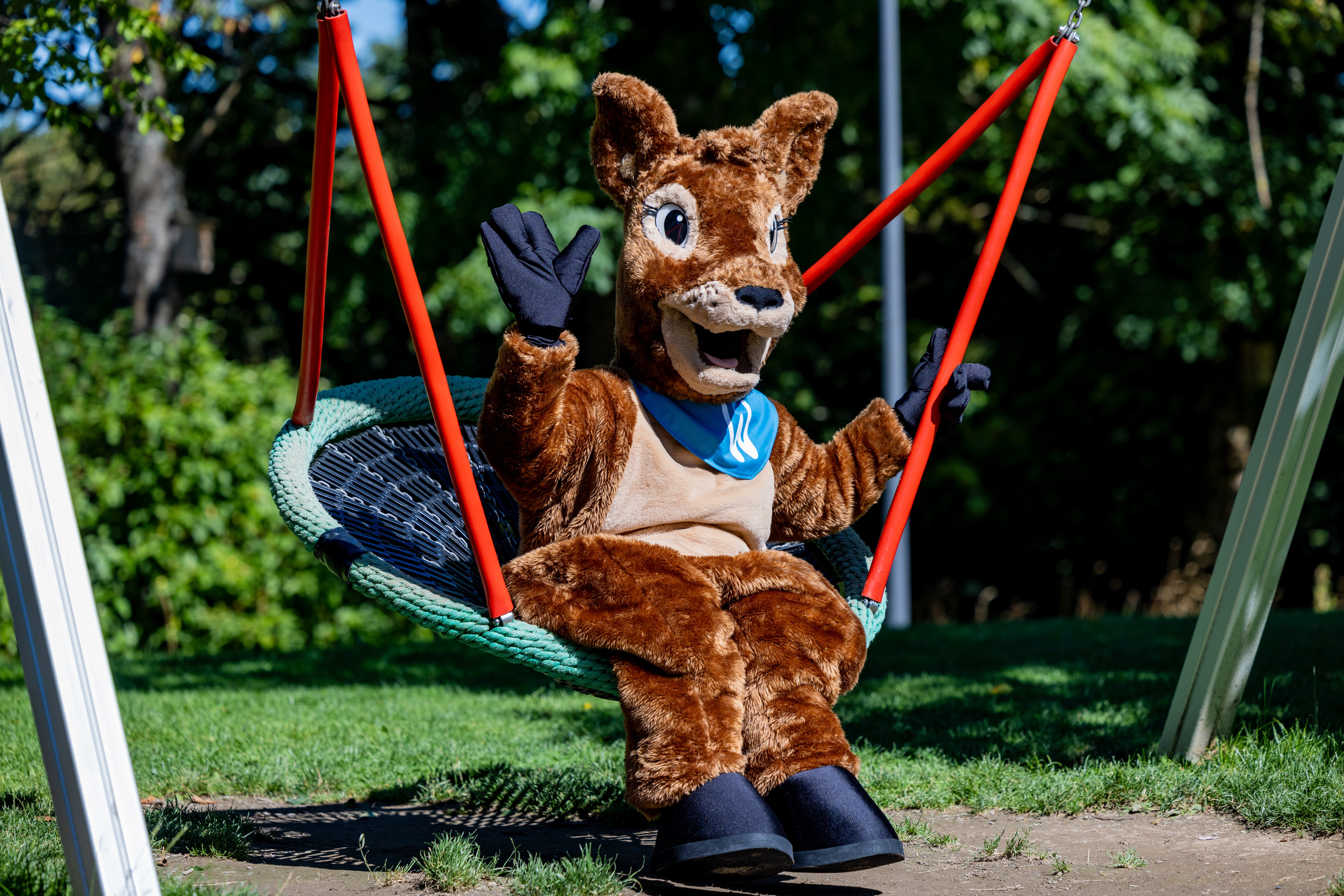 Reh Waldi in einer Nestschaukel.