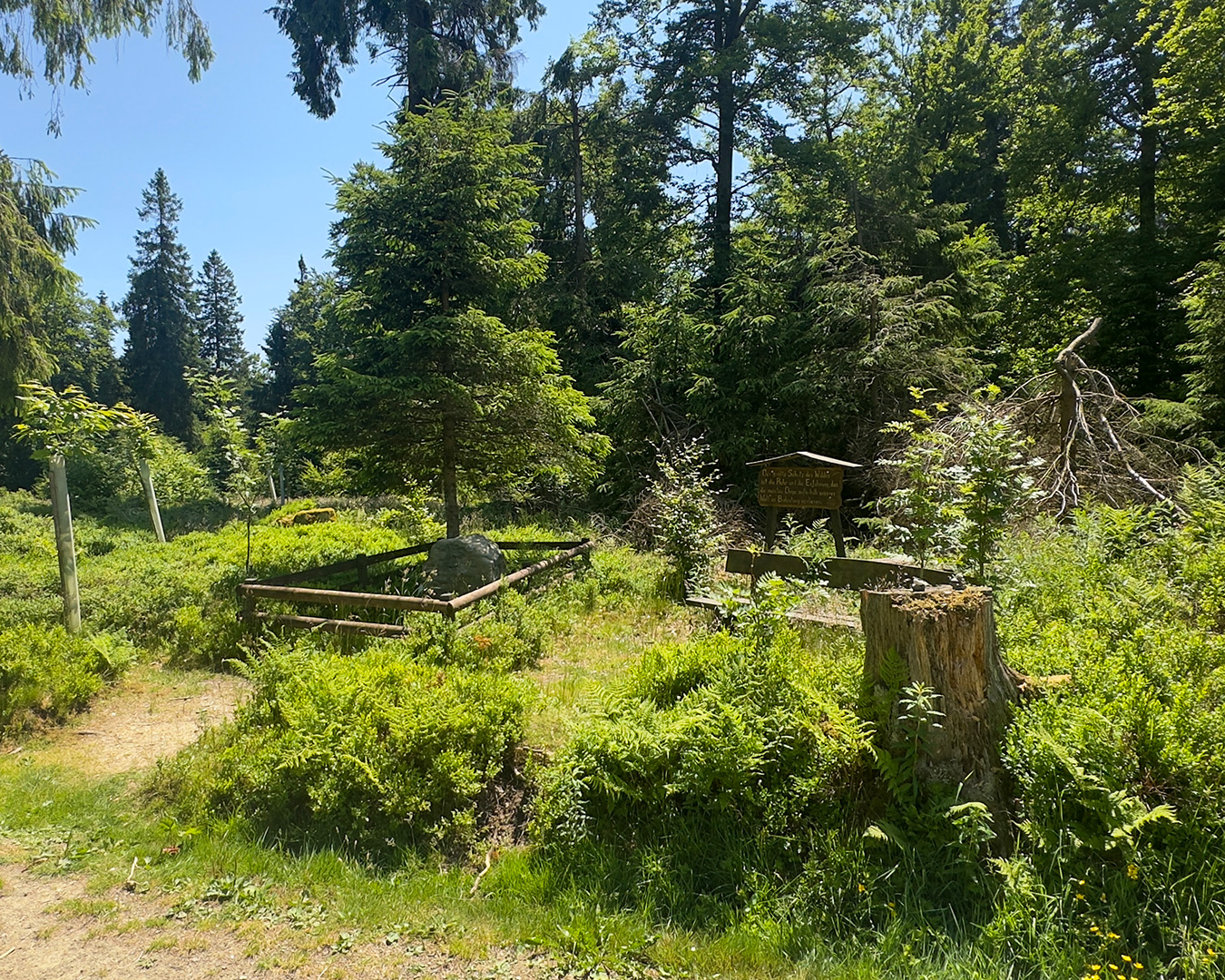 Ein beschriftetes Holzschild inmitten von Wiese und Wald.