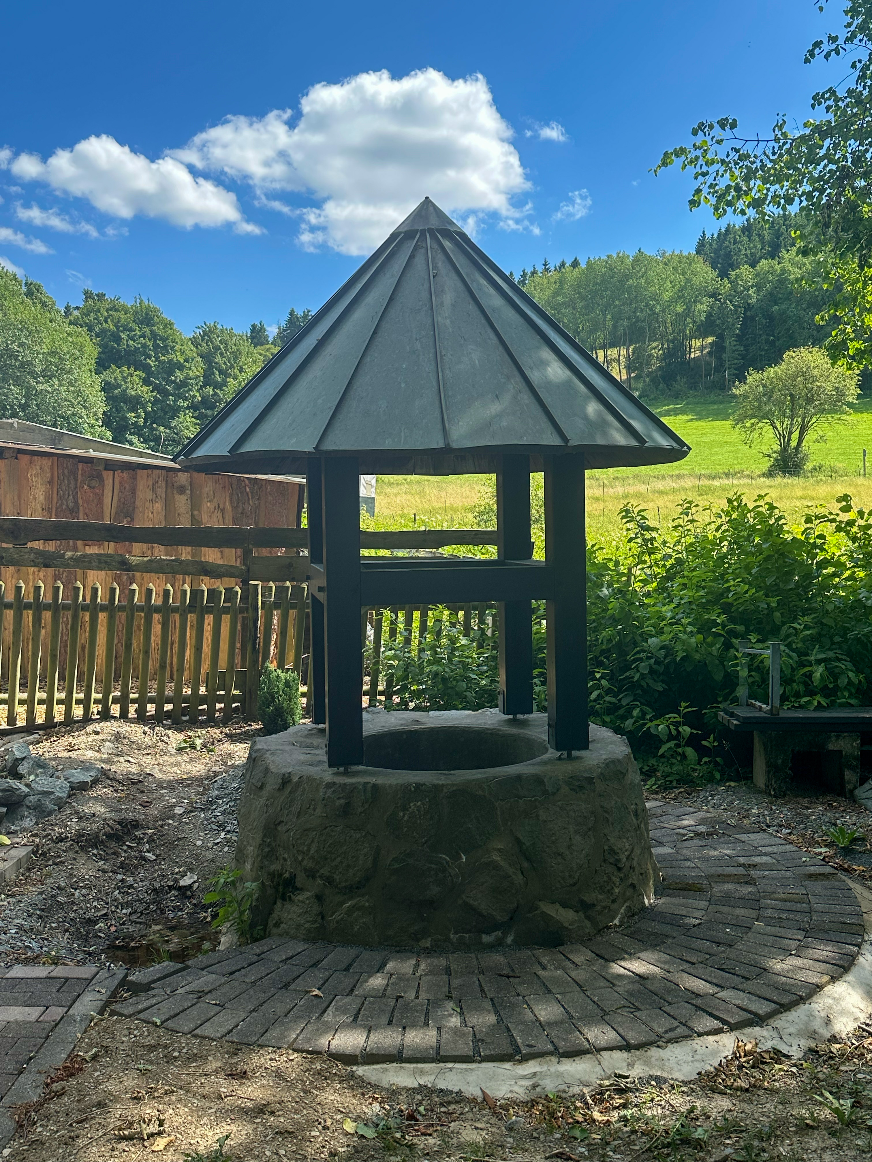 Ein überdachter Brunnen mit Wald und Wiese im Hintergrund.