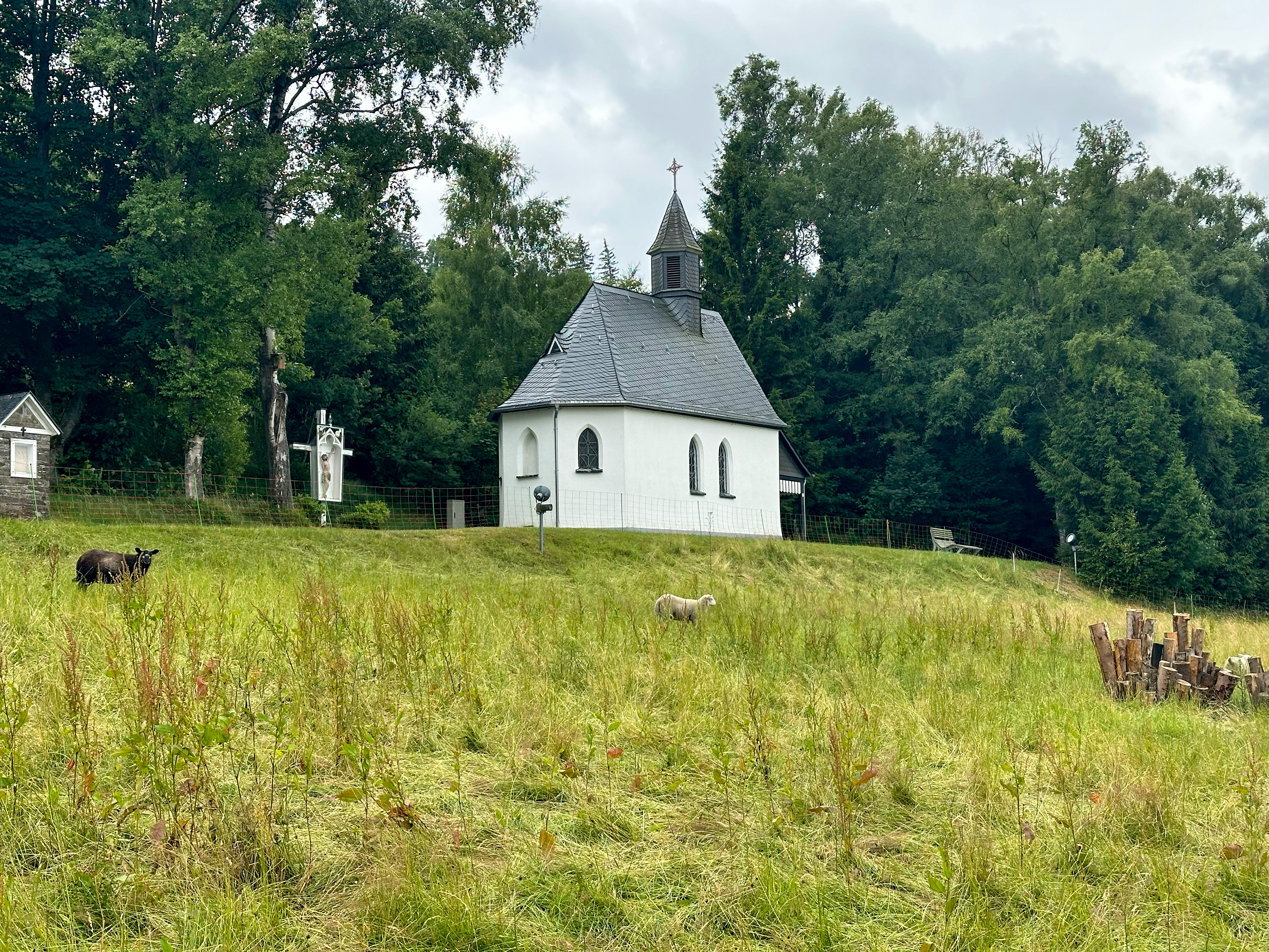 Kapelle oberhalb einer Wiese mit Schafen, umgeben von Bäumen. Kapelle oberhalb einer Wiese mit Schafen, umgeben von Bäumen.