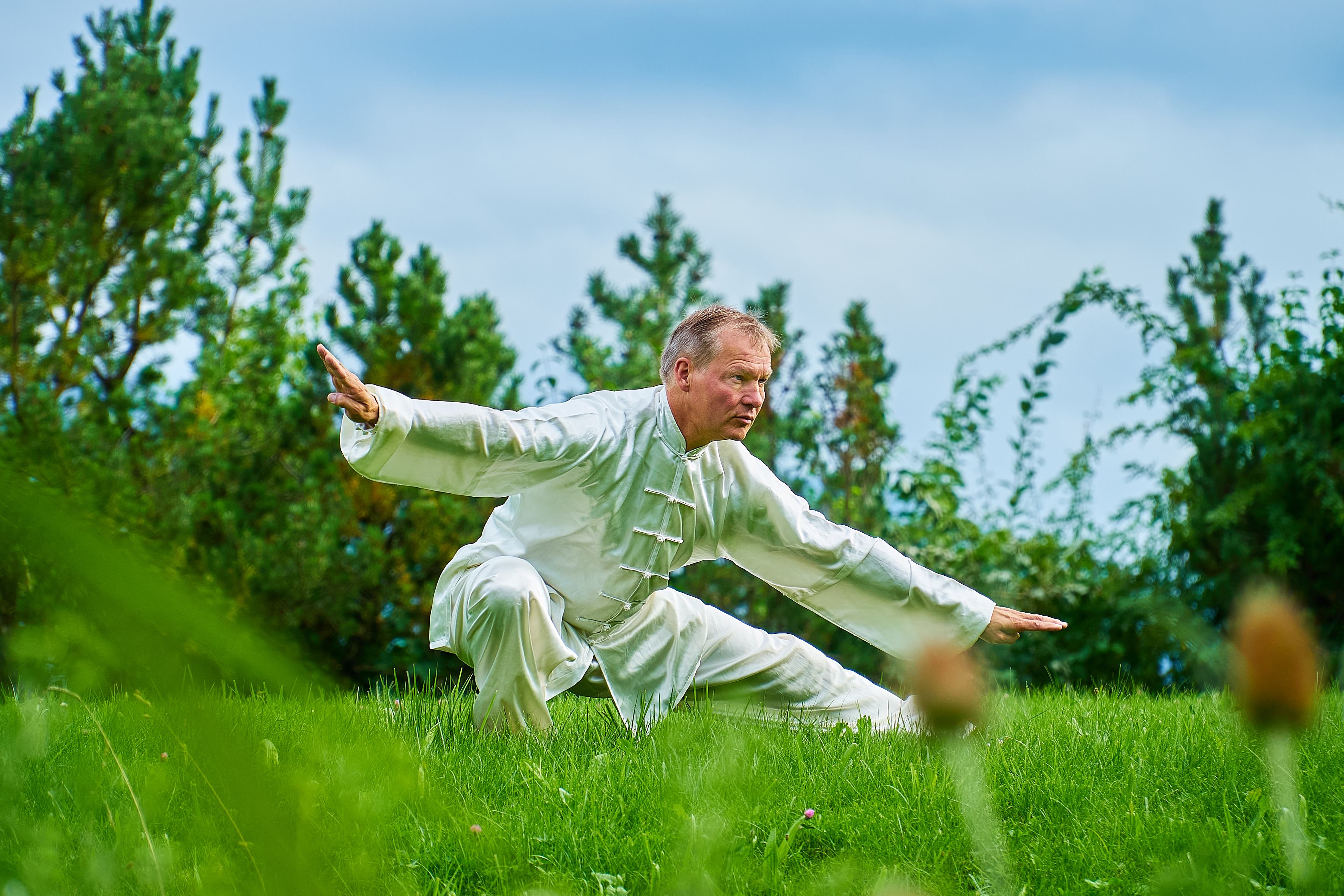 Neijia Kampfkunst mit Dietrich Rowek.jpg
