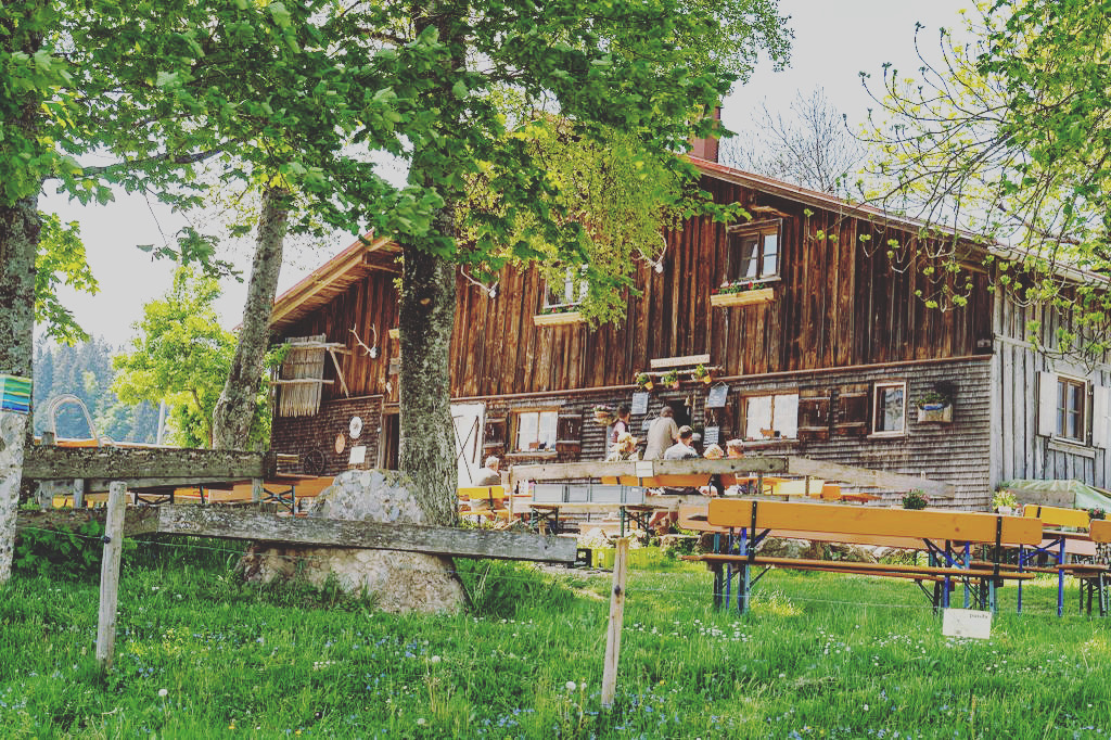 Bild Pfarralpe neu 2026.jpeg