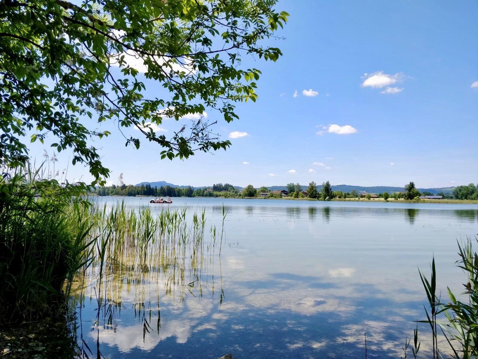 Öschlesee im Sommer