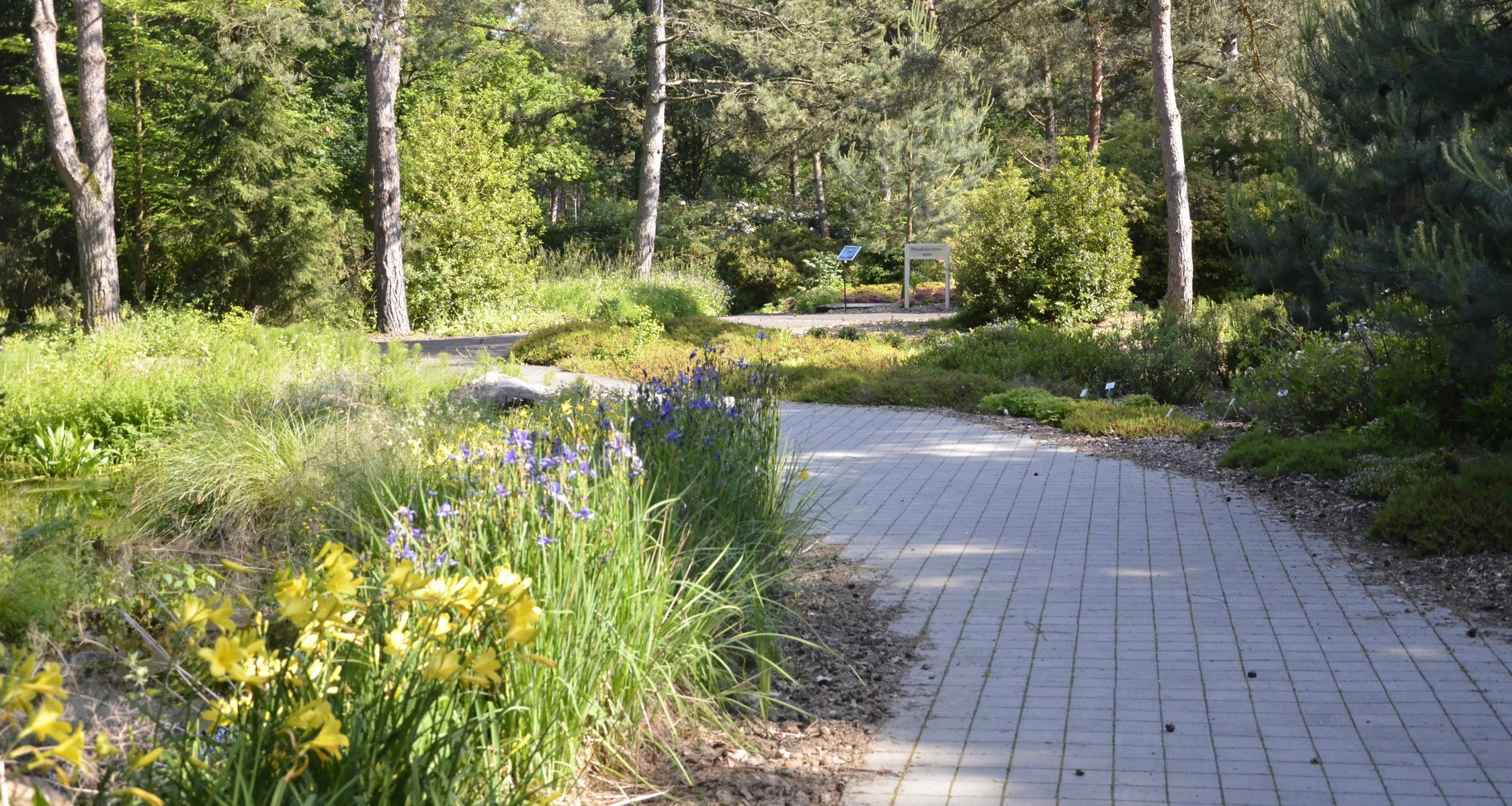 Botanischer Garten Marburg
