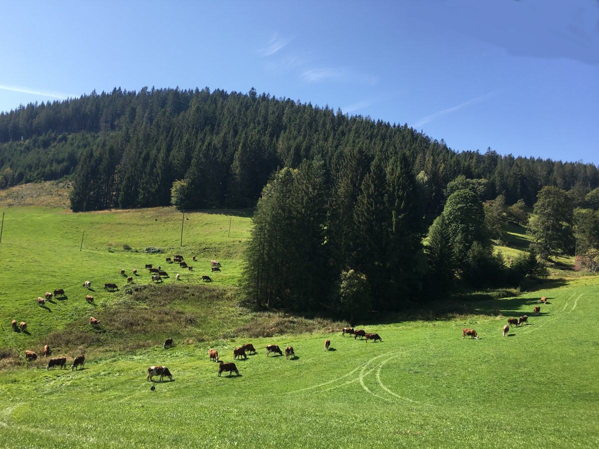 paraflowsliderp120048ae1c0c775806.jpg paraflowsliderp120048ae1c0c775806.jpg