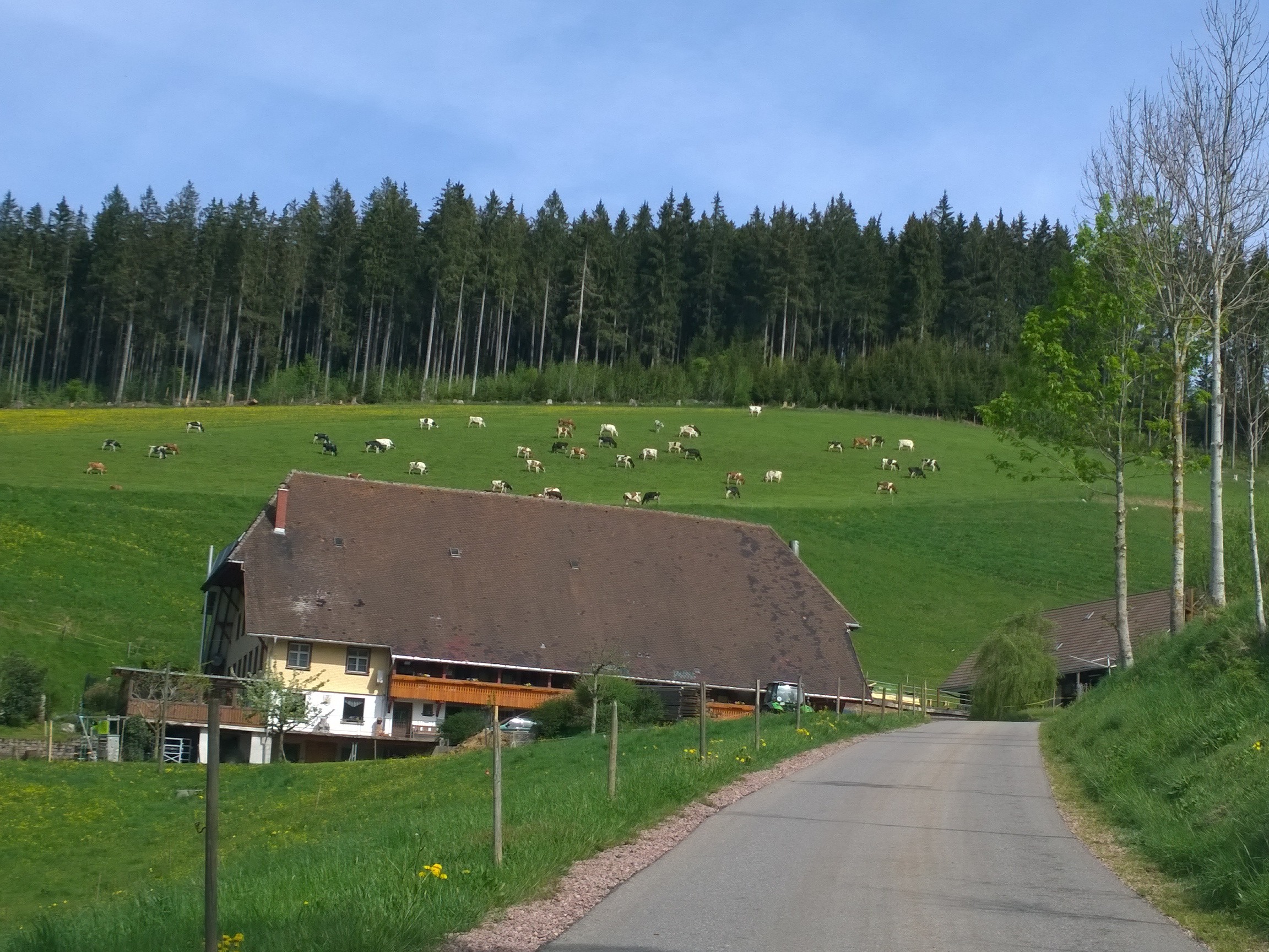 fuchslochhof.jpg fuchslochhof.jpg