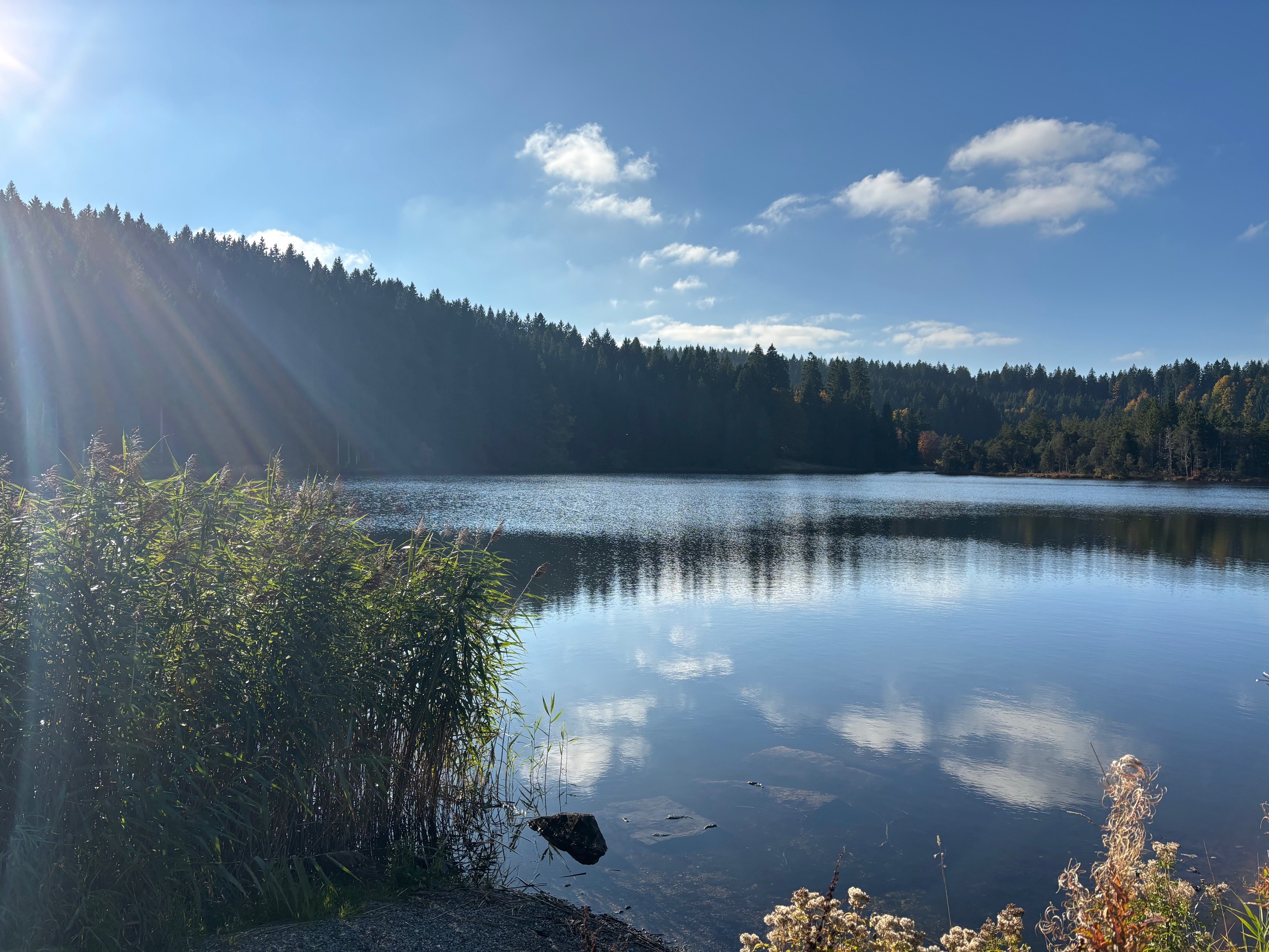 EschacherWeiher_CorinaKrezler_AllgaeuerSeenland.jpg
